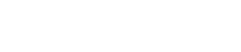 Vitamix